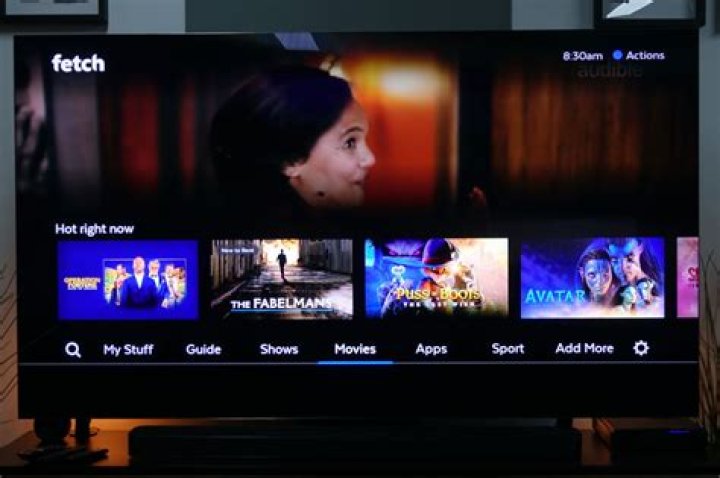 Can you use Fetch TV without subscription?